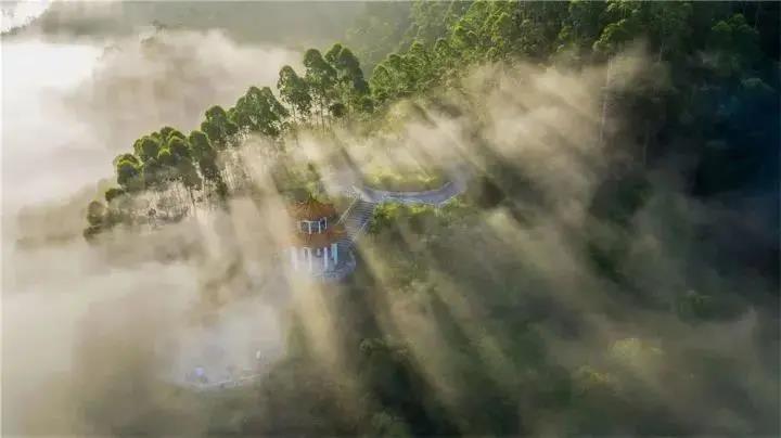 ac29959136b252ad60e567ccc0ab2ac5.jpg 002.jpg