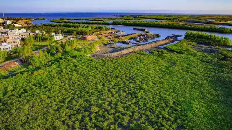 a455e62ca2d60451d3a5382e89d5c402.jpg 002.jpg