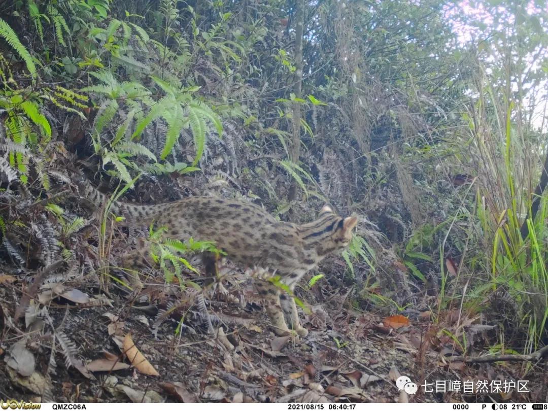 28c960d3ea474865abdb62009878827f.jpg 005.jpg