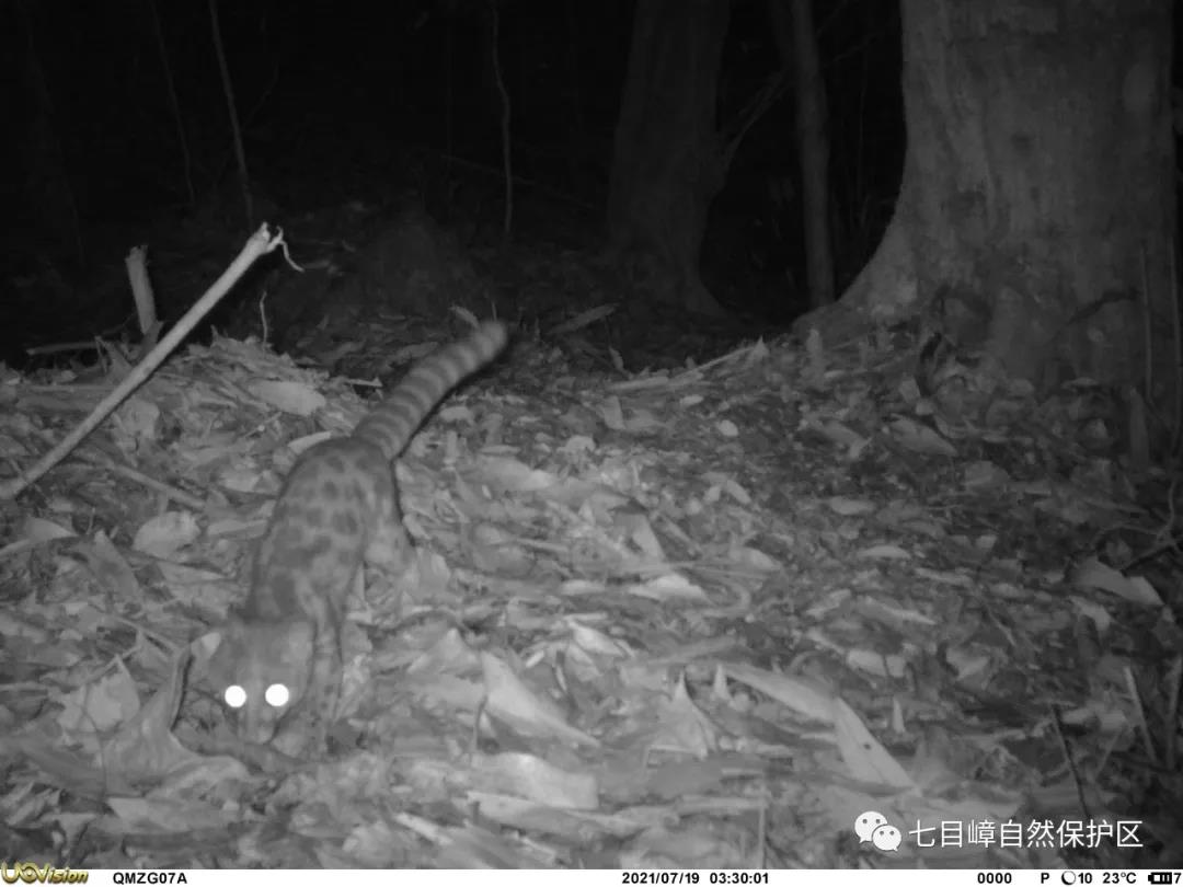 89622316031ff55caf6514ec82b419e1.jpg 004.jpg