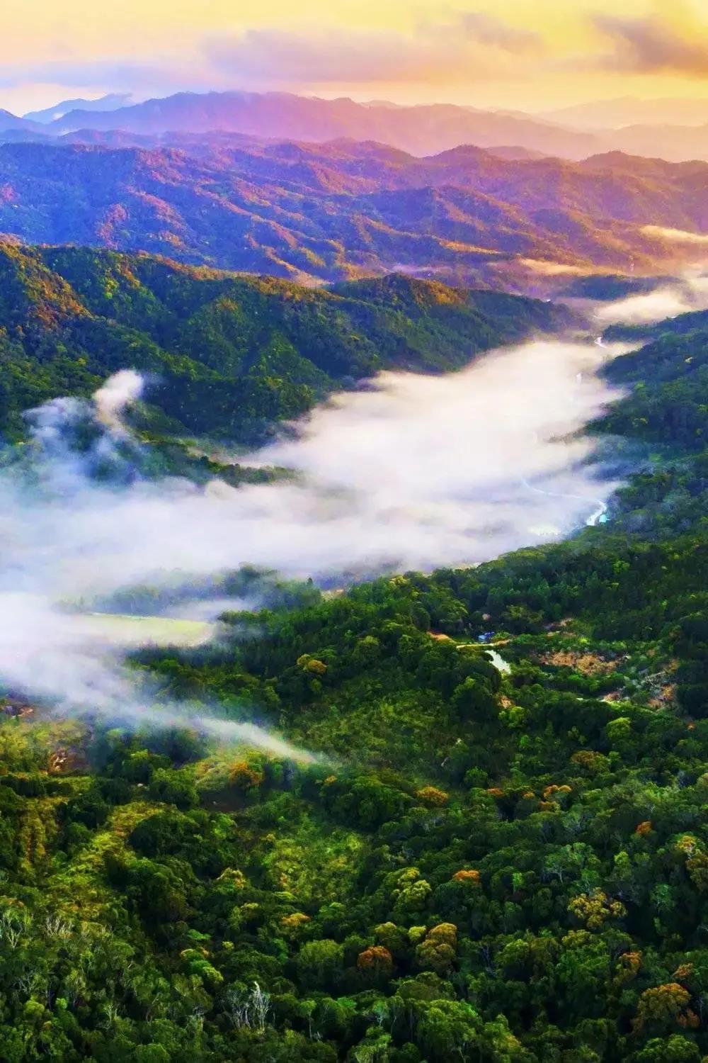 82b3a277966bad445d9da8e066a442d3.jpg 海南熱帶雨林國家森林公園.jpg