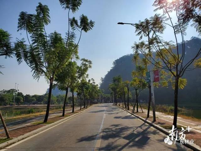 5cdcb331887f9821022ac138cce933fd.jpg 003.jpg