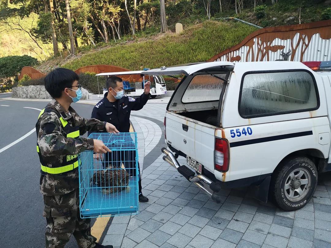 c406f855c3f1c7f8f07c696505971978.jpg 003.jpg