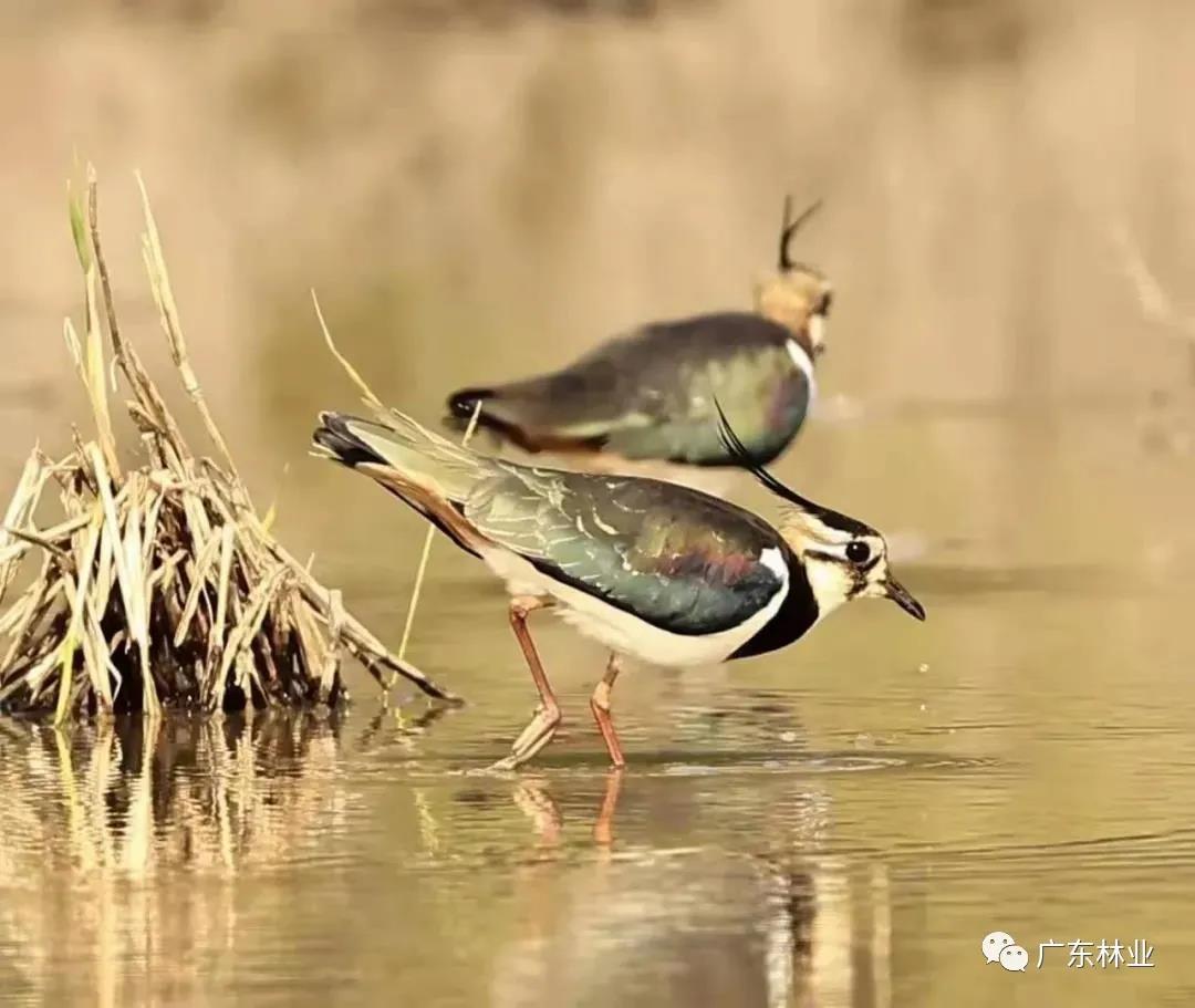 a6e43309c41189e09864d8f6dbcc5f91.jpg 006.jpg