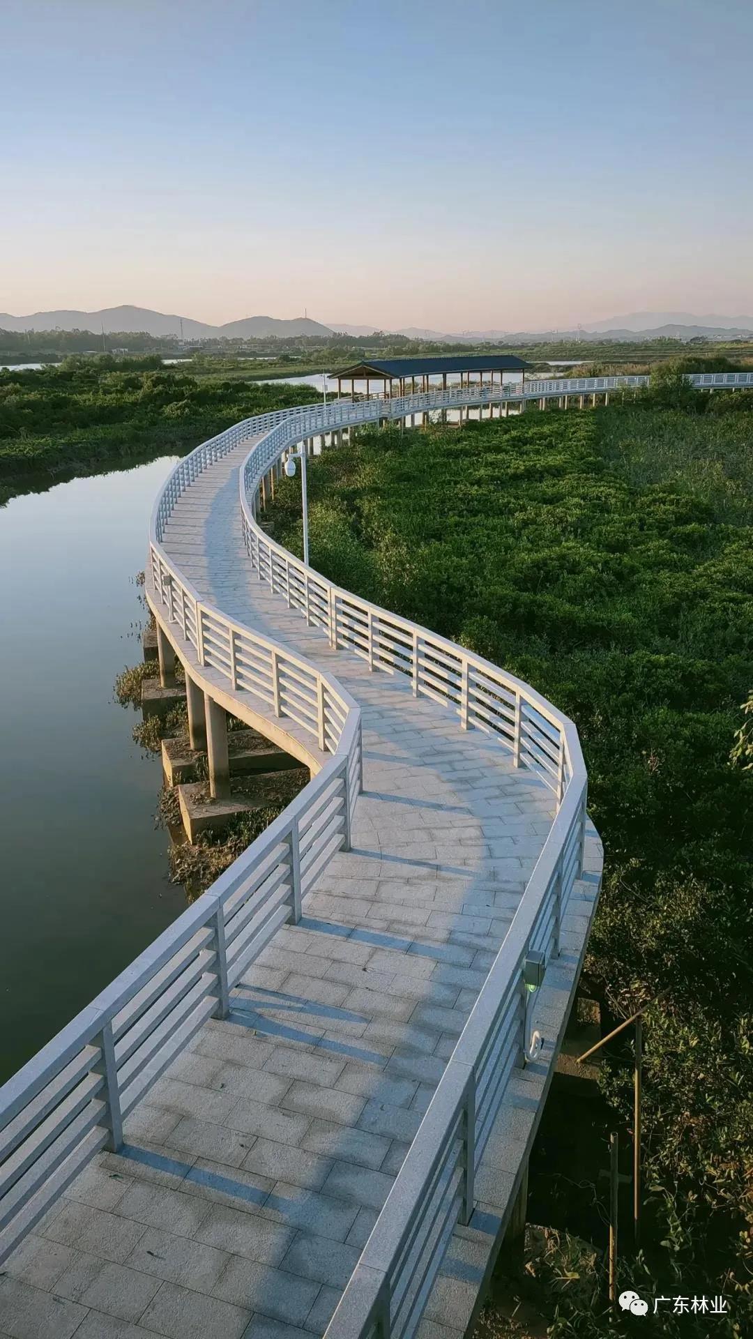 aa72f13c64387928eae4634157e41502.jpg 009.jpg