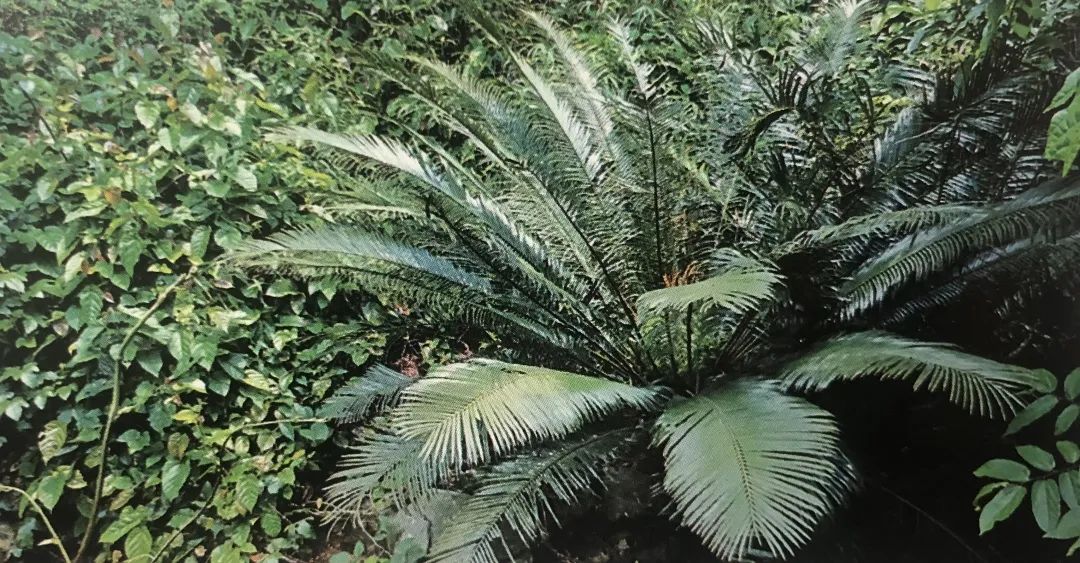 752793d328832666b3fa6854a24503e6.jpg 007.jpg