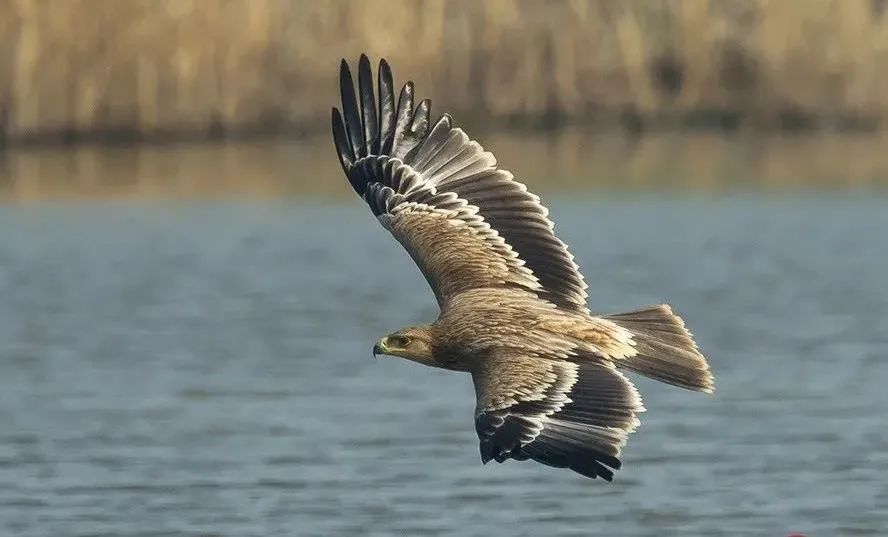 a4b4894129e8bb21fb0543d0e357bab8.jpg 010.jpg