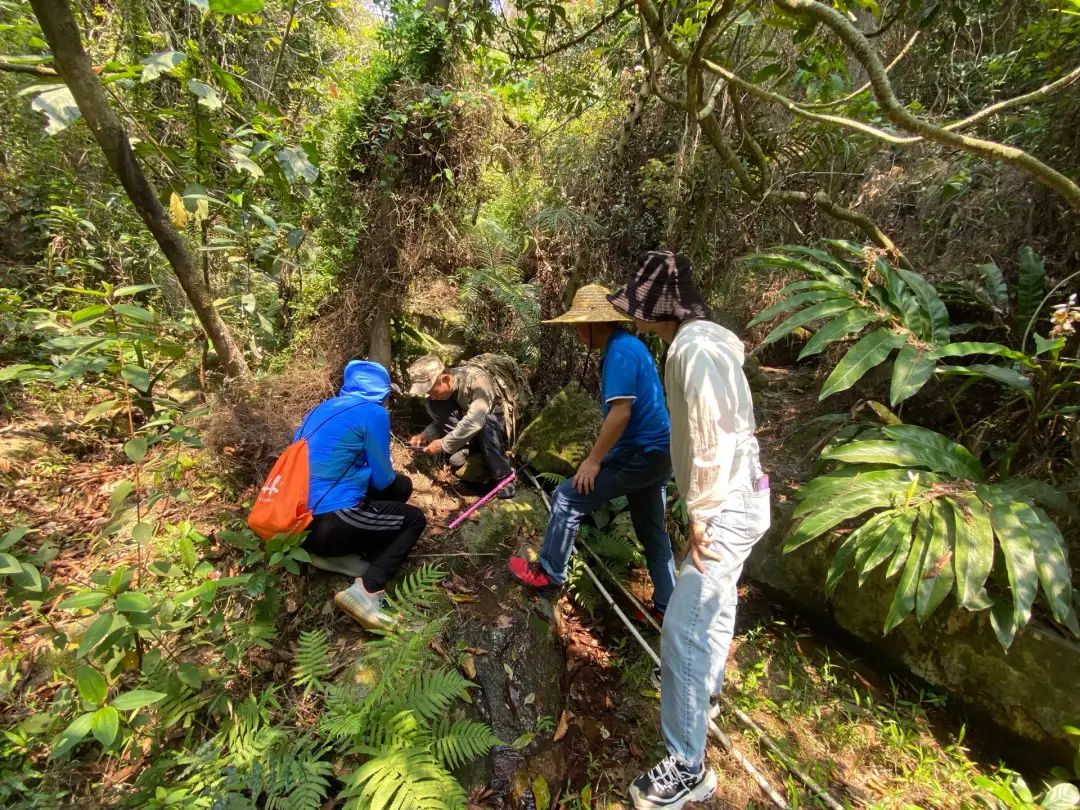 04343c79e7a676f32ccd2d282b8b393f.jpg 002.jpg