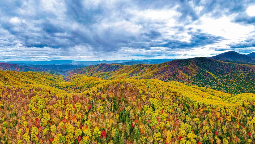 e19efd29466fb7f96f8858847b45379f.jpg 002.jpg