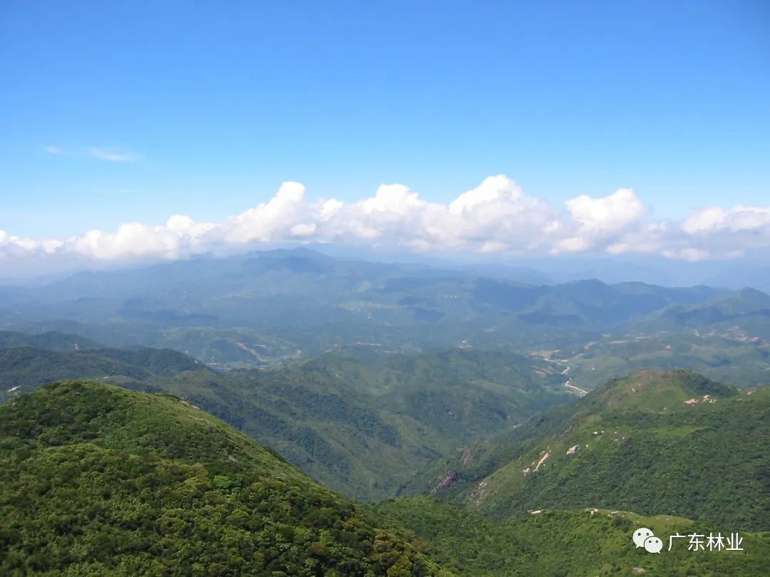 2edc70c8faf805ce9f94e061a3a9d840.jpg 006.jpg