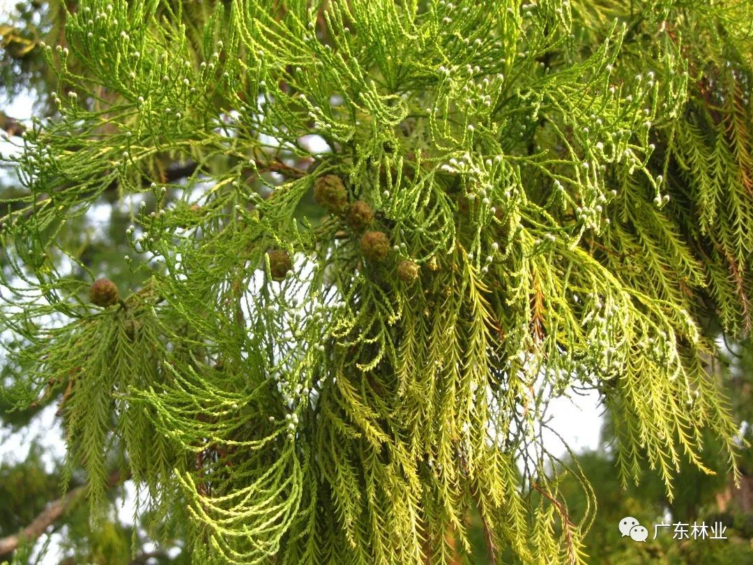 7378fac3cce1c575e468560e4d7a9eb3.jpg 007.jpg