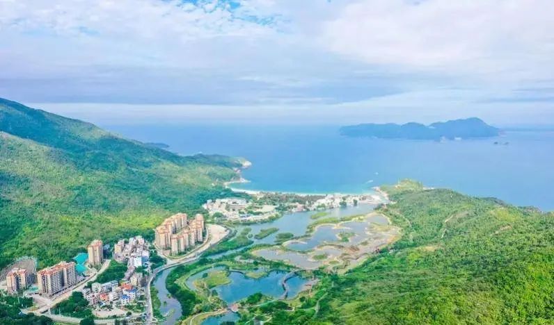 即將對(duì)外開(kāi)放！深圳大鵬新建一紅樹(shù)林濕地公園