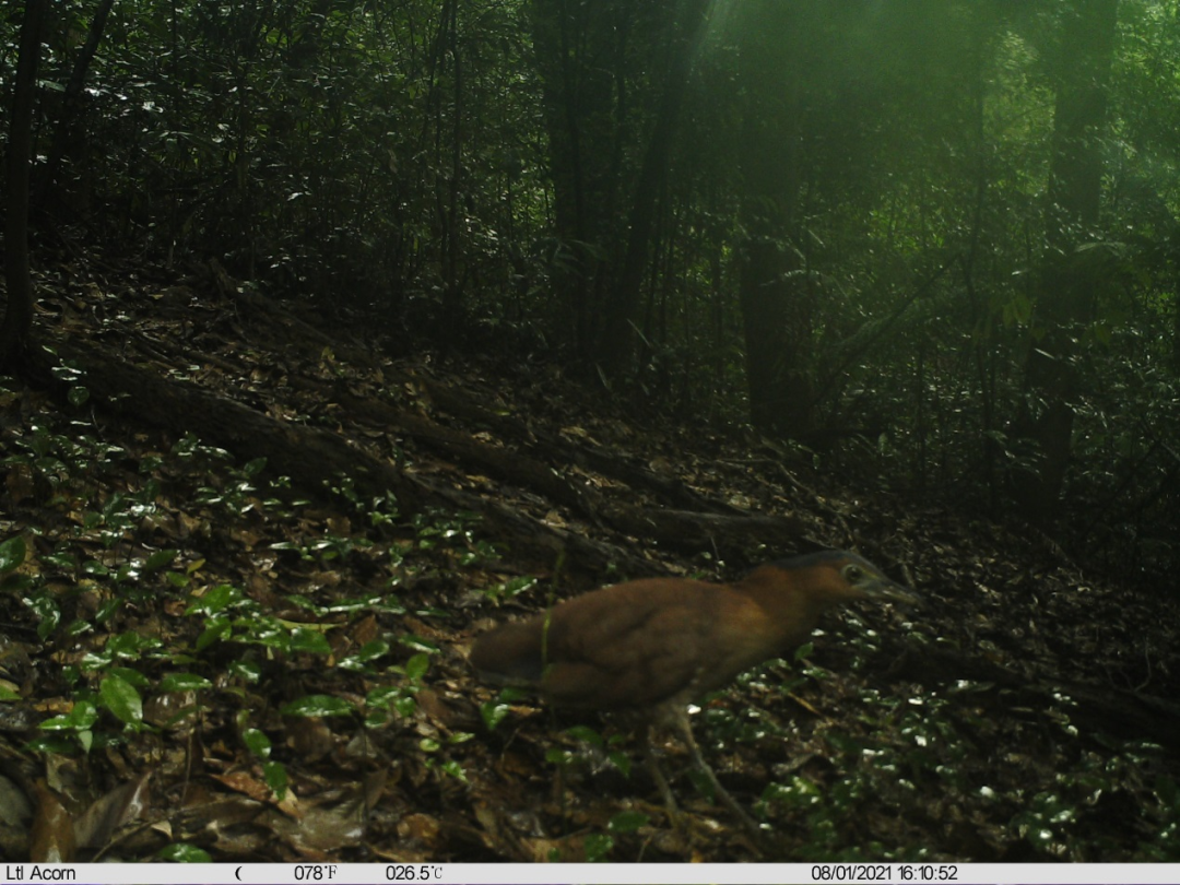 96f4c35a7aa8117ad4d4d98917b3ab6f.png 002.png