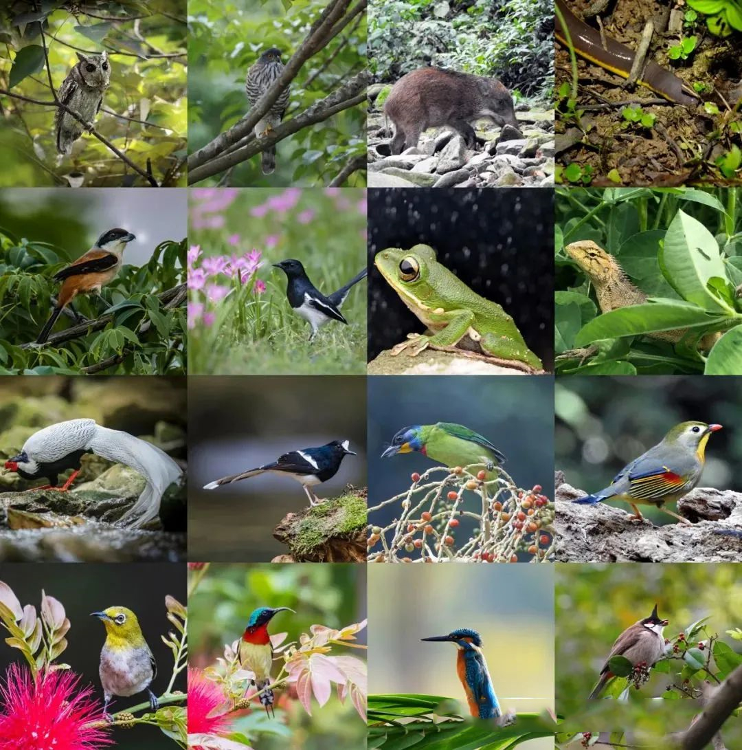 efd0ed30edf5adb9c91afdb46567f0a3.jpg 005.jpg