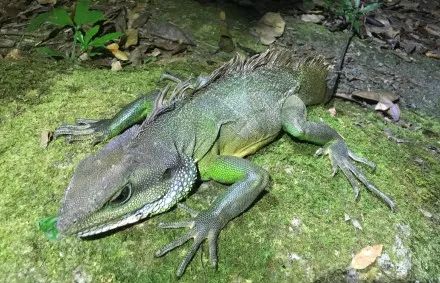 c5036a280a2f7aa58acf19085db7b20c.jpg 002.jpg